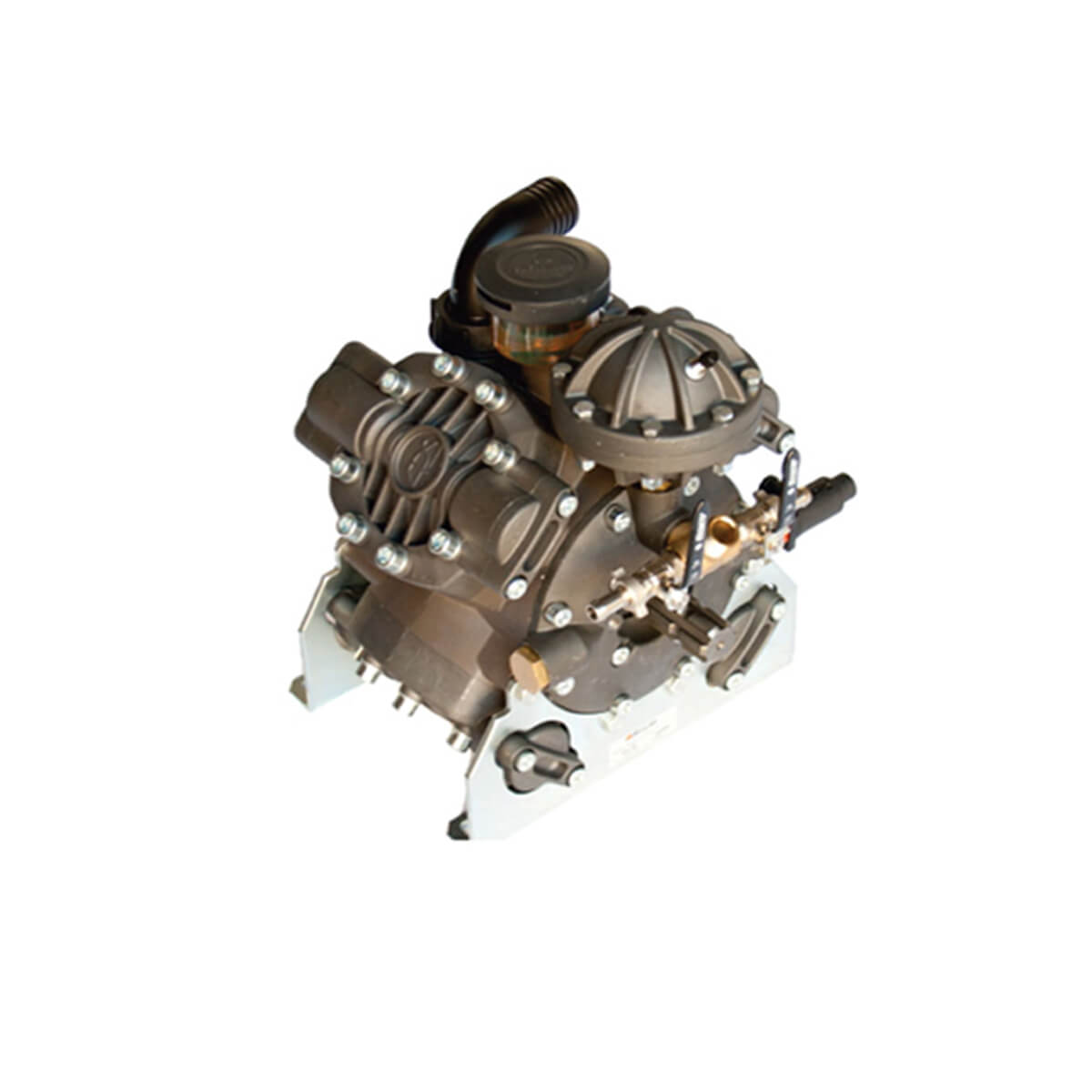 ANK-001 789